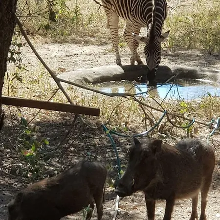 Mopani Villa Marloth Park Exterior photo