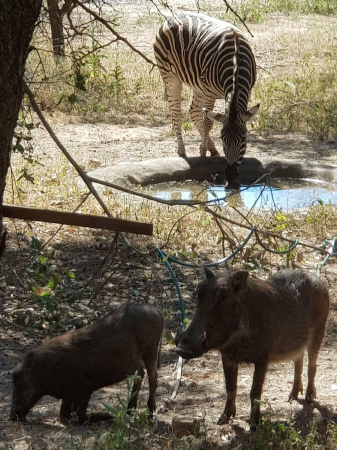 Mopani Holiday home
